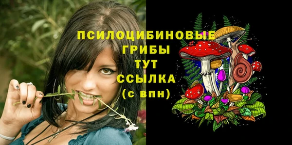 кокаин Богородицк