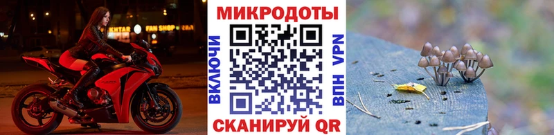 Псилоцибиновые грибы мухоморы  мега ТОР  Екатеринбург 